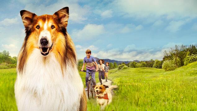 Kino: LASSIE – NOVÉ DOBRODRUŽSTVÍ